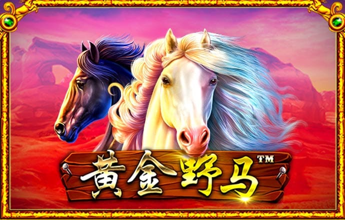 乐发vlll下载500彩票